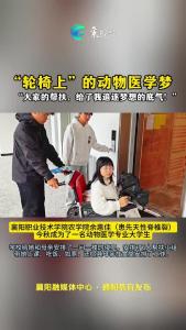 轮椅上” 的动物医学梦