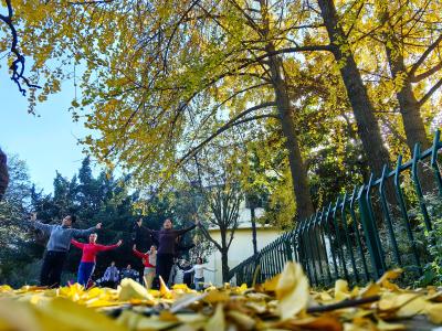 新华公园“落叶缓扫”享美景