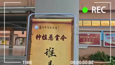 海容小学“秋冬悬赏令——寻找班级萝卜、白菜王”