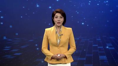 宜城：金秋菊海醉游人  特色产业富乡民