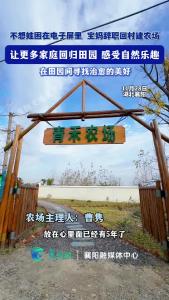 不想娃困在电子屏里 宝妈辞职回村建农场