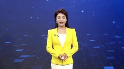  野菊花开满山    鹿游花海醉游人 