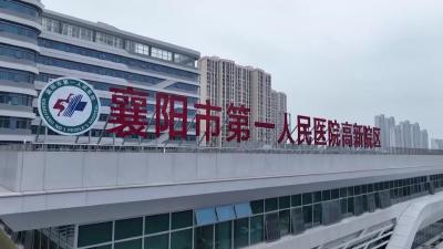 读懂“菊”部疼痛信号