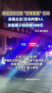 樊城法院开展“荆楚雷霆”行动