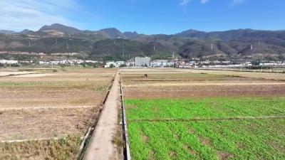  保康：抢抓好时节    小麦播种忙 