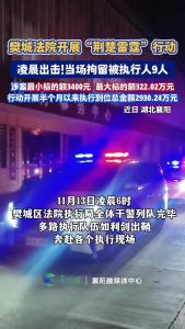 樊城法院开展“荆楚雷霆”行动