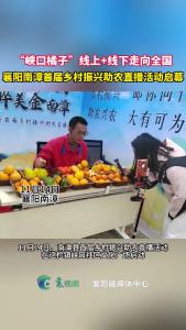 南漳县首届乡村振兴助农直播活动盛大启幕