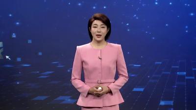 枣阳：冬日花田春意浓  增收致富有“花路”