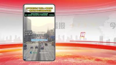 网络热点：女子名下登记117辆电动车 两商家各赔偿7000元获得谅解