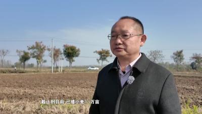 宜城：“良技良机”双驱动   打好小麦播种收官战