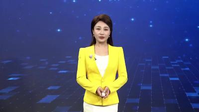  枣阳：12万亩油茶喜丰收    产业发展助振兴 