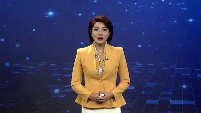 宜城：良种同台“竞技”  “麦”向丰收好前景