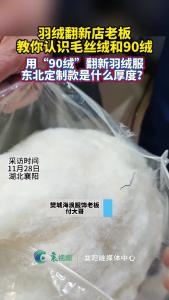 羽绒服翻新店老板教你认识毛丝绒和“90”绒