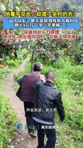 他看不见光，却成了全村的光！“盲人队长”郭大荣带领残疾人和村民种出8万斤“争气苹果柿”！