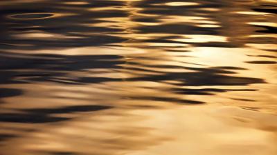 重磅首发！徐东置业《襄阳颂》以 AI MV 敬呈城市新礼