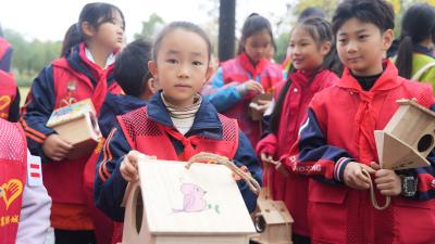 湖北襄阳：“护鸟天团”为候鸟打造越冬安全屋