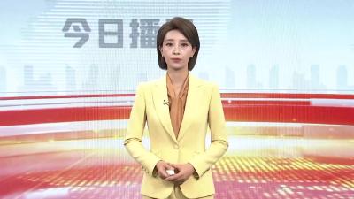 昆虫标本进校园解锁生命密码