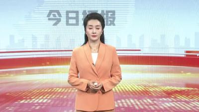 树木“撑裂”餐馆院墙 园林助力老板消愁