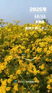 早安，今天是12月11日，那些读过的书、走过的路，都将化为前进的底气。