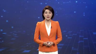 枣阳：金黄吊瓜满藤架   特色产业富农家