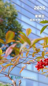 早安，今天是12月19日！每天给自己一个开心的理由