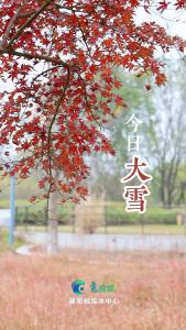 今日大雪，愿你在大雪时节，有暖可依，有盼可期