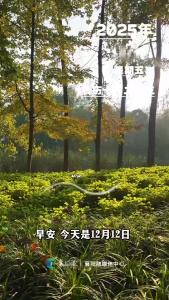 早安，今天是12月12日，新的一天载着希望启航，加油！