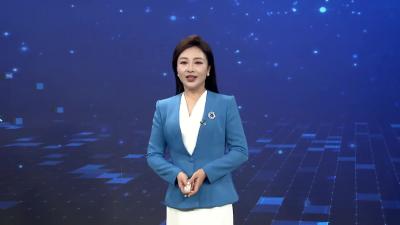 科技赋能 品种改良 宜城娃娃菜走向国际