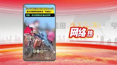 网络热点：三女子偷南瓜910斤 竟称是“捡着玩”