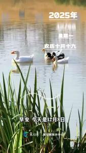 早安，今天是12月8日，别怕路远，只怕心老，把每次挑战都当作成长的契机。