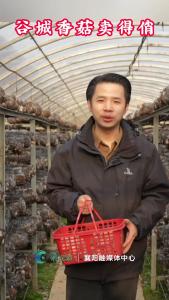 直通谷城 这里的香菇卖得俏！