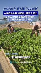 200元包年，真人版“QQ农场”