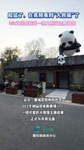 起猛了，在襄阳看到了“大熊猫”，603文创园新增一组大熊猫主题造景