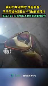 襄阳护城河惊现