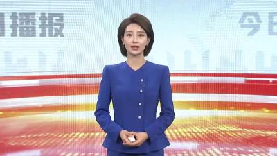 雪未到梅先开！红梅提前两月绽放