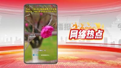 网络热点：万山、习家池红梅提前两个月绽放