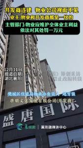 开发商违建物业公司视而不见  依法对其处罚一万元