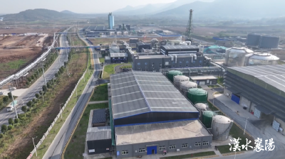 从“项目秘书”到跨域联动，看襄阳如何驱动千亿级产业“拔节生长”！