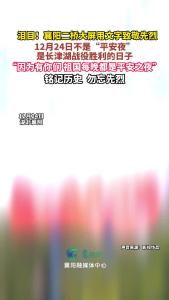 铭记历史！襄阳二桥大屏用文字致敬先烈！