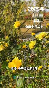 早安，今天是12月9日，生活不会亏待敢闯敢拼的人