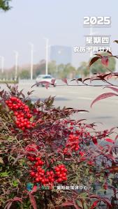 早安，今天是12月18日！每个人花期不同，不必焦虑有人比你提前拥有