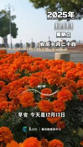 早安，今天是12月13日，新的征程已然开启，愿你带着勇气和笃定，向阳而生