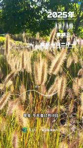 早安，今天是12月10日，每一份坚持都不会被辜负