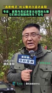 襄阳鸟类记录首次出现斑头雁，它们的迁徙路线发生了变化