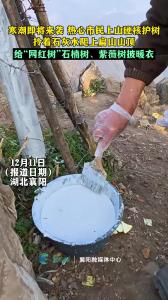 襄阳人都是热心肠。寒潮来袭，热心市民爬上扁山山顶给