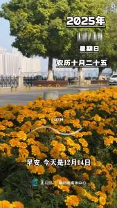 早安，今天是12月14日，生活没有捷径，却有无限可能。加油！