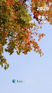 早安，今天是12月20日！时间一年比一年重要