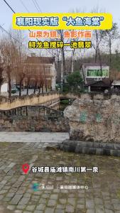 襄阳现实版“大鱼海棠 ”！山泉为镜，鱼影作画，鲟龙鱼搅碎一池翡翠。