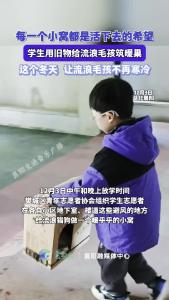 每一个小窝都是活下去的希望