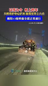以雪为令  桥上跨年